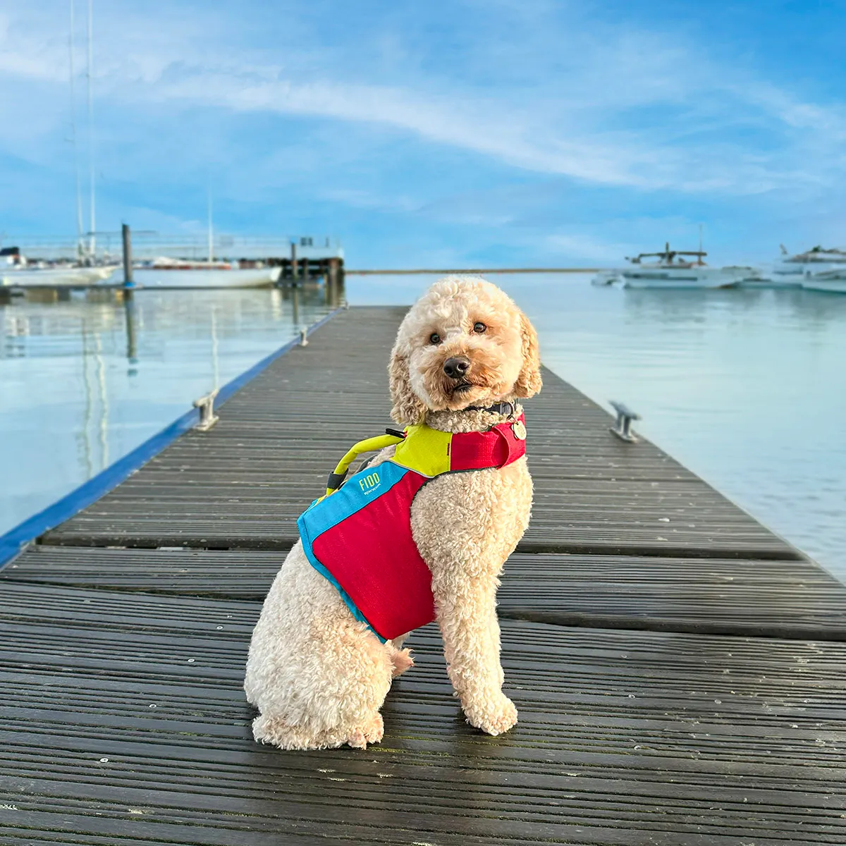 FIDO, image 10