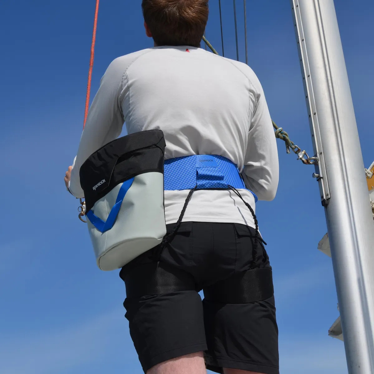 Mast Pro, image 4