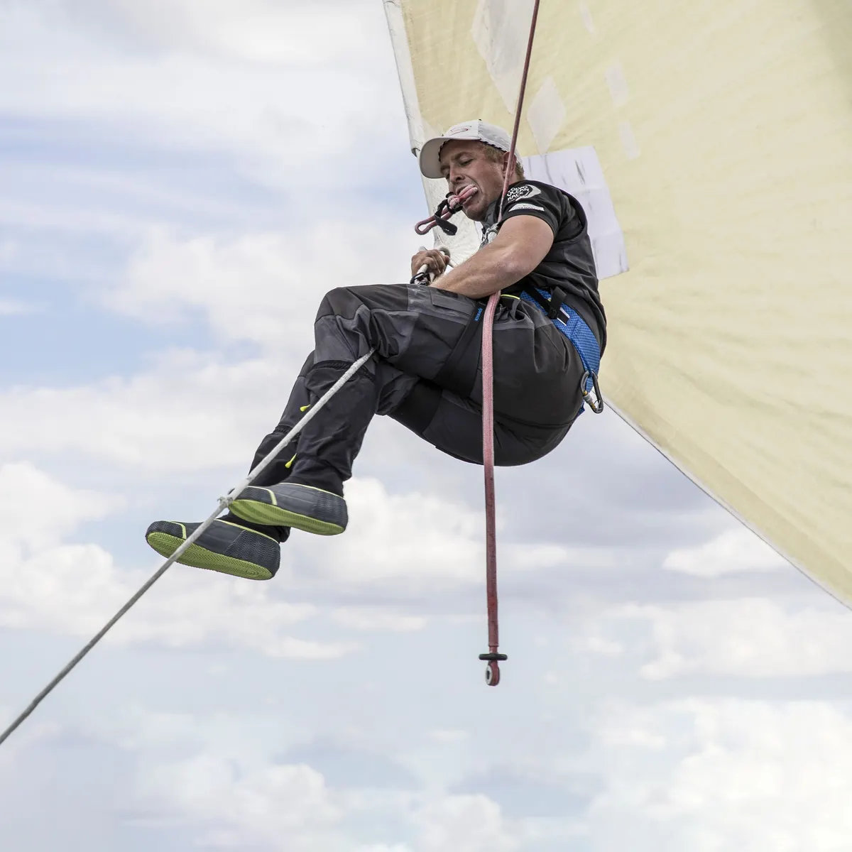 Mast Pro, image 3